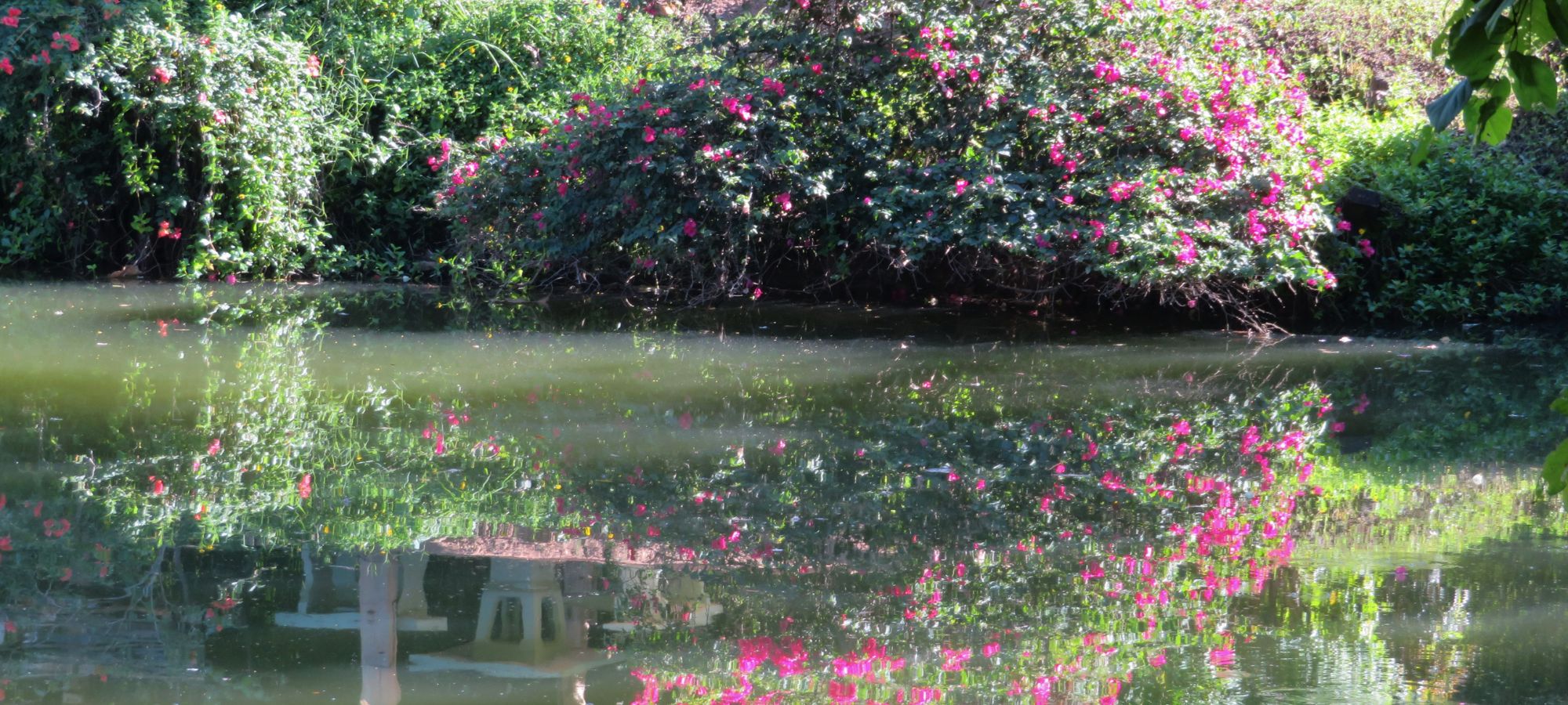 Photos from our Thailand and Laos: Cycling Holiday